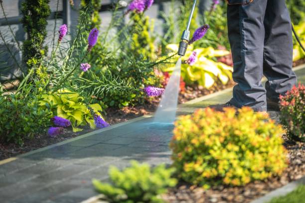 Best Dumpster Area Cleaning  in Jasper, TN